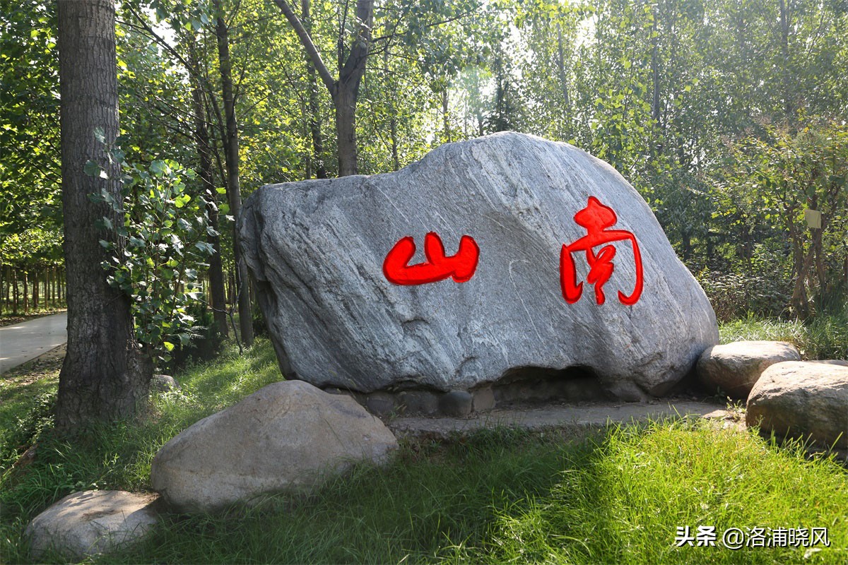 大院绿化的回忆——顺便看看院里的芍药定个究竟有多少种？