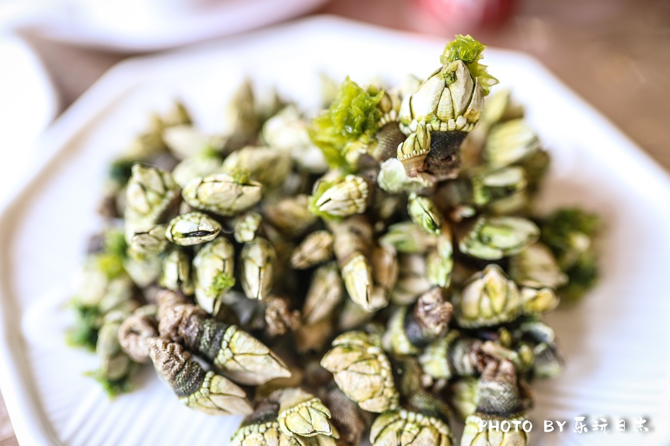 广东平价海岛旅行攻略,广东最美海岛游玩攻略