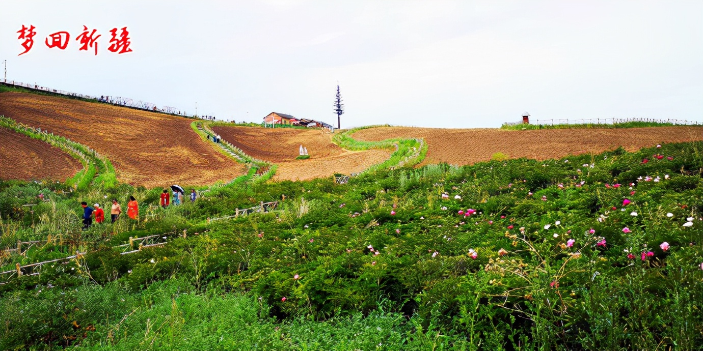 梦回新疆梦回拉萨,梦回伊宁草原视频