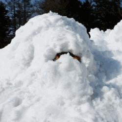 练习瑜伽时经常抽筋,练功的时候腿疼怎么办