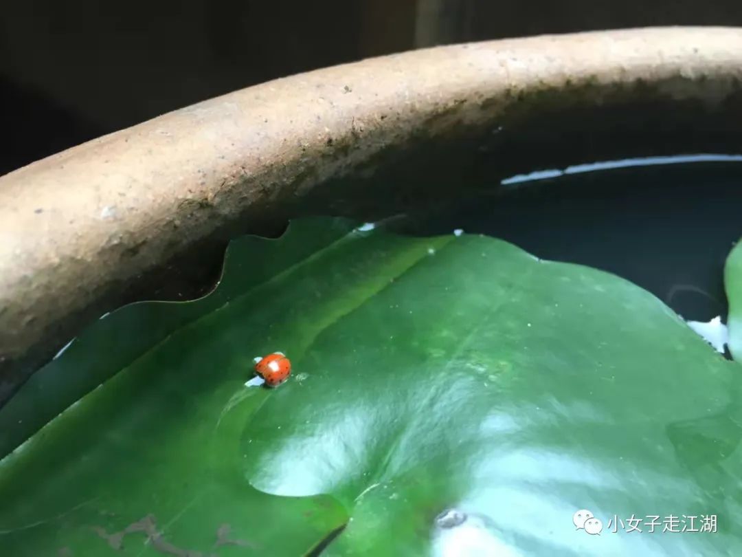 毕业后做了5年公益，抑郁边缘的我转行去做了幼师