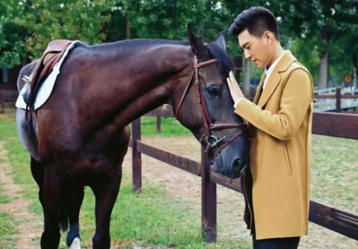 靳东李佳夫妻视频素材,靳东李佳罕见秀恩爱合集