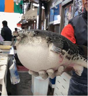 大阪黑门市场,大阪黑门市场美食攻略