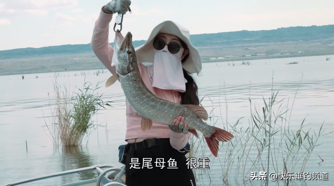 女子和大鱼搏斗,女子与大鱼的搏斗