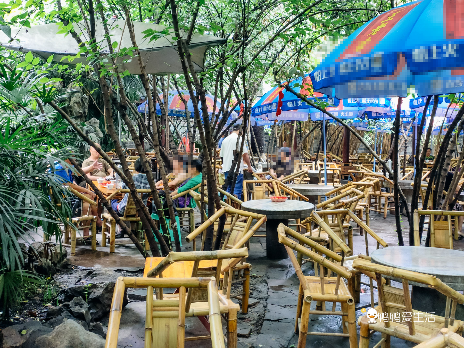 成都人民公园鹤鸣茶舍照片,五一成都人民公园打卡攻略