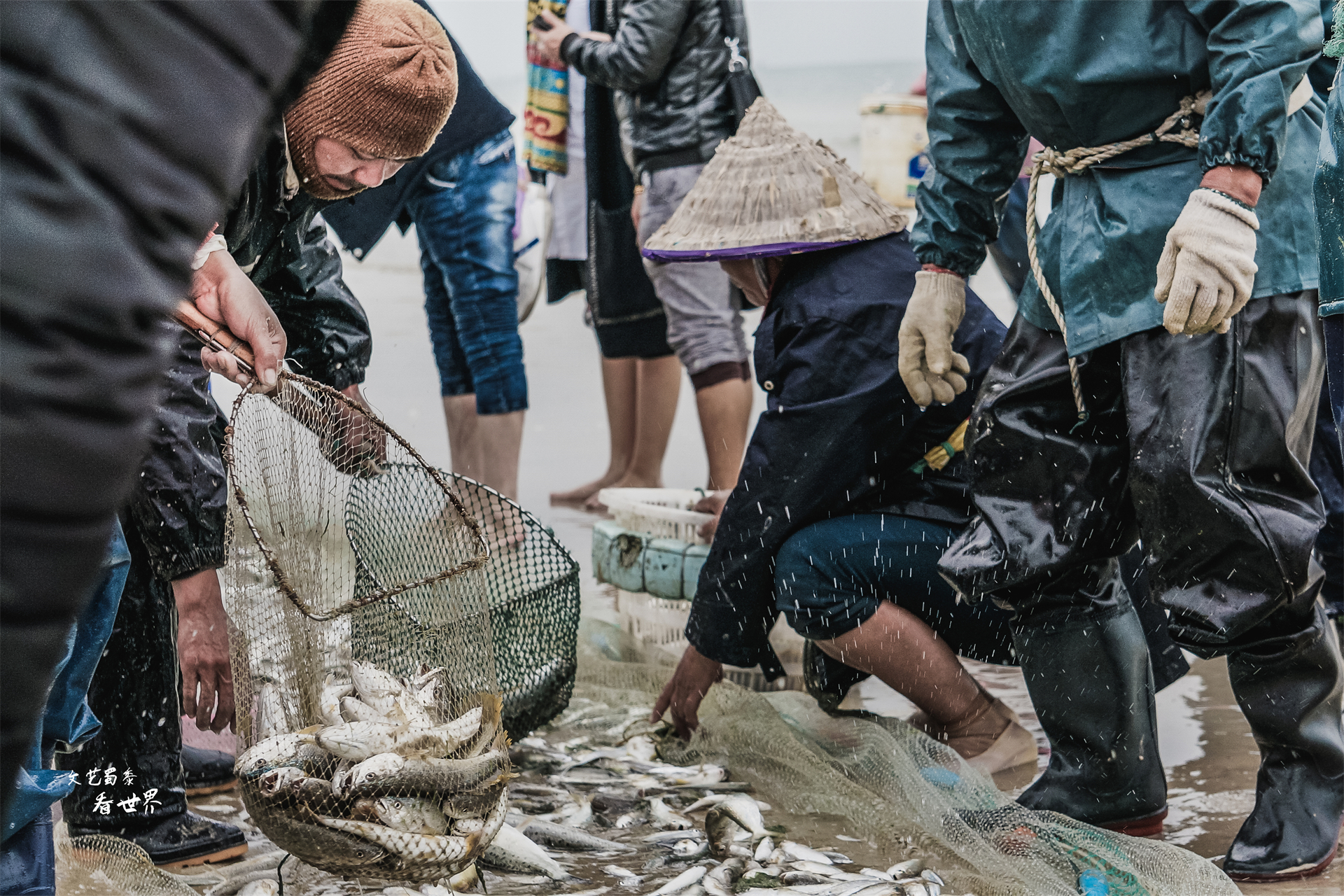 广西北海和东北的差异,东北人为何喜欢广西
