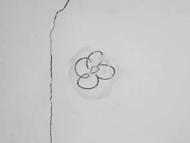 家里的白墙弄脏了怎样才能擦干净,家里白墙脏了怎么用乳胶漆补救