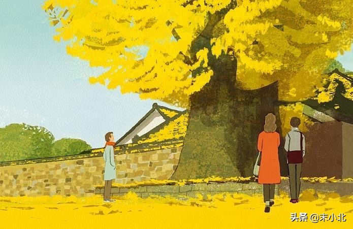 婆婆老是插手孩子的学习,为什么婆婆老是插手我们夫妻的事