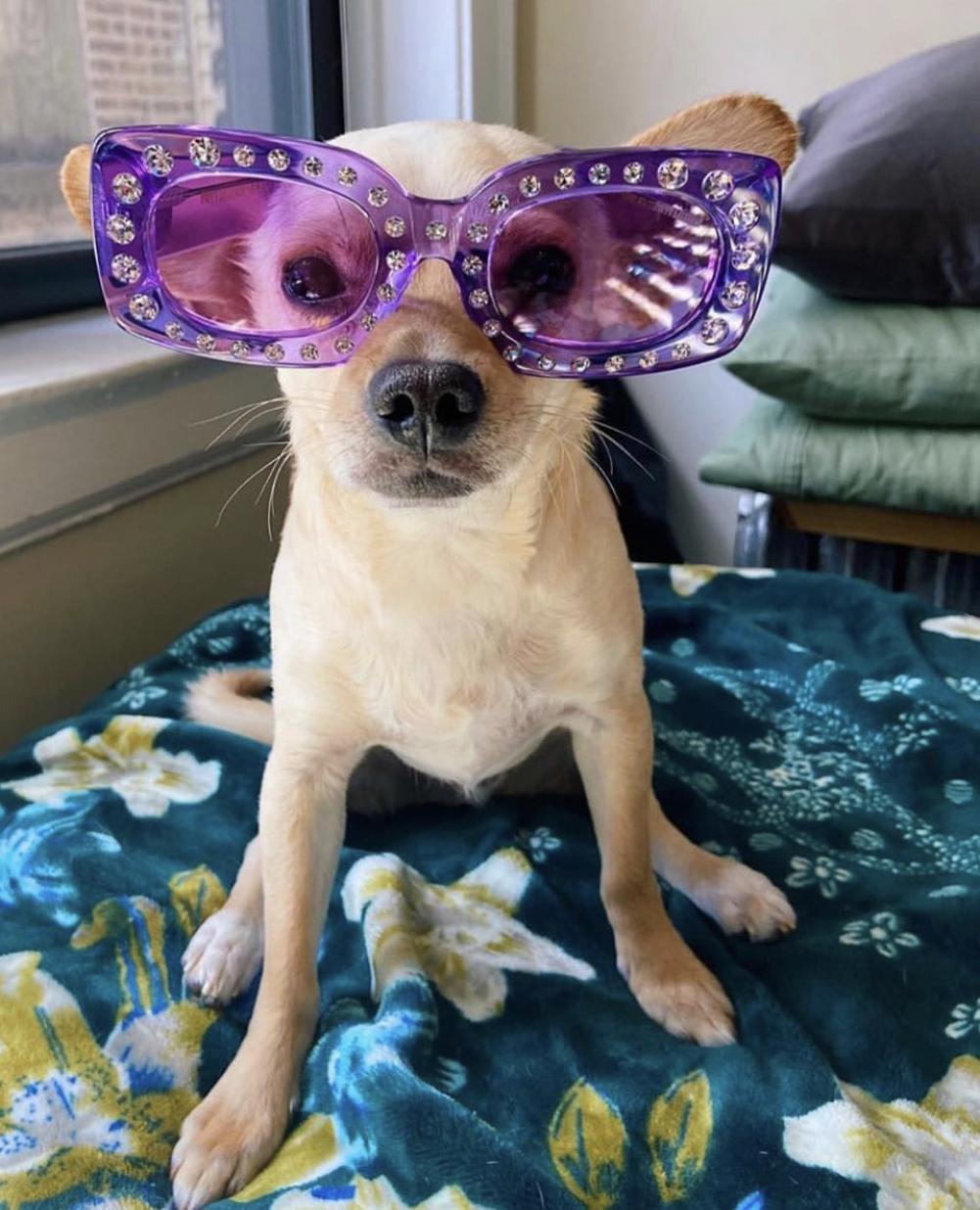 女士怎么挑选适合自己的墨镜,怎么选墨镜框适合脸型