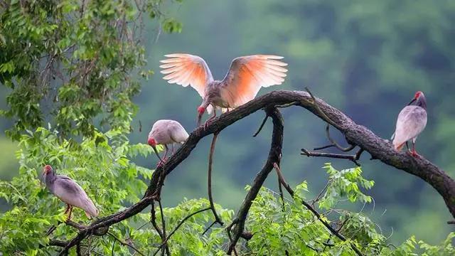 日本冷门知识200例,日本有趣的小知识
