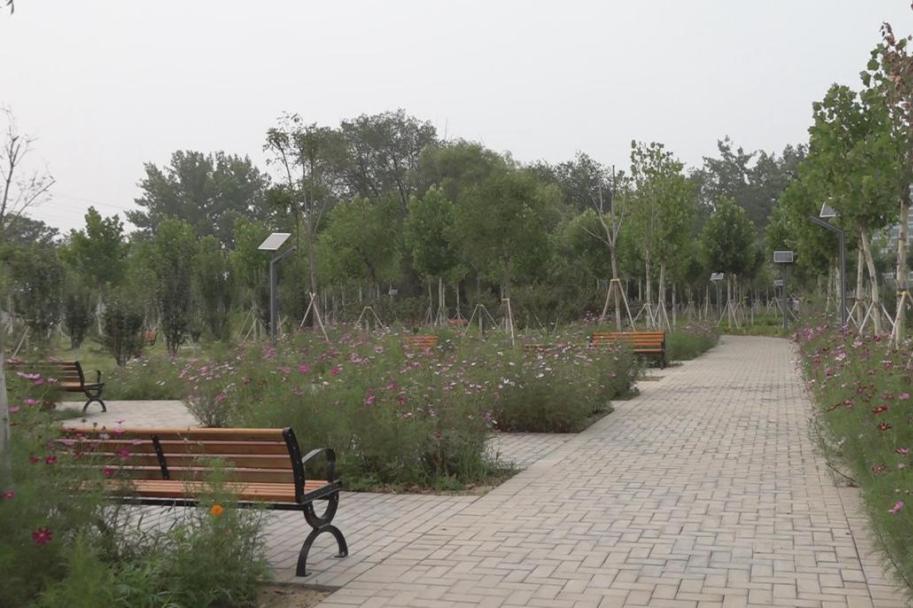 我为群众办实事提升人居环境,为民办实事工作纪实