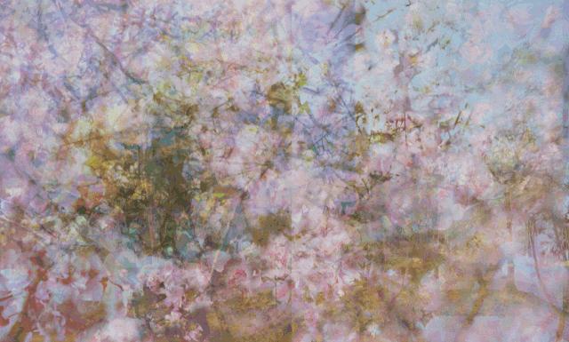 51元代金券女装折扣,女装51元折扣券