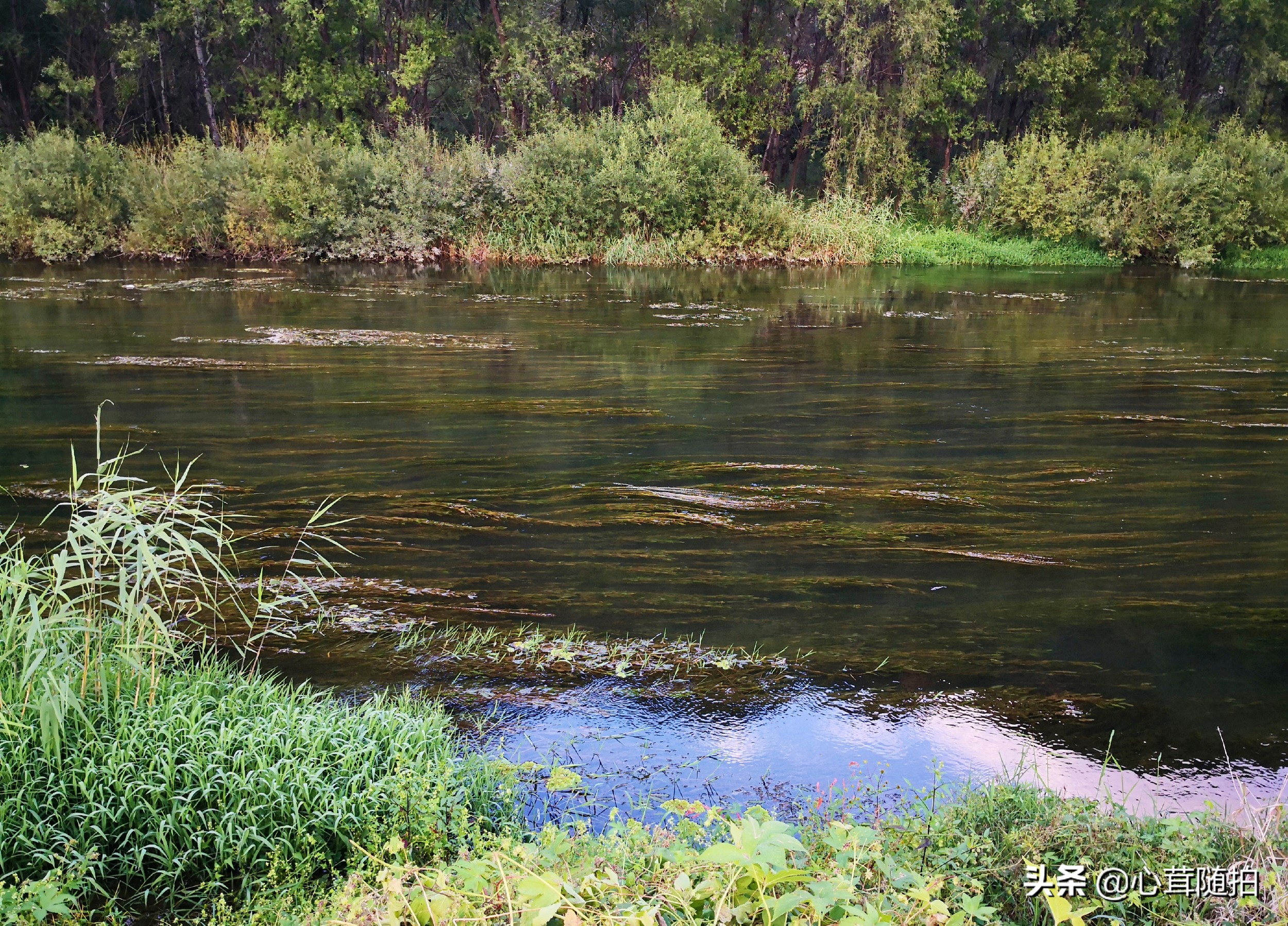自驾白河湾,白河湾自然风景区自驾