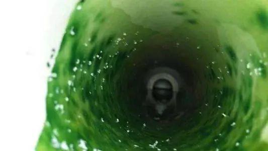 怎样清理水管中青苔,管道里面的青苔怎么处理