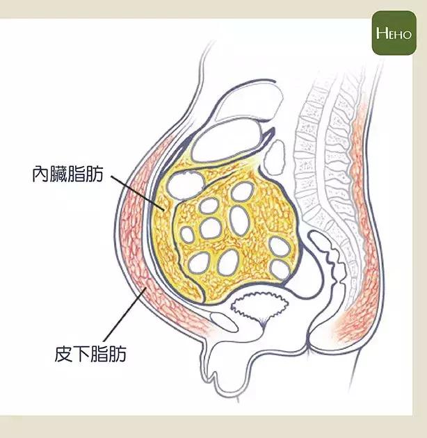 摇一摇减肥工具,减肥工具振动器