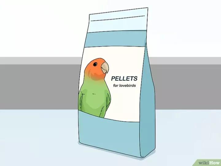 如何喂养牡丹鹦鹉