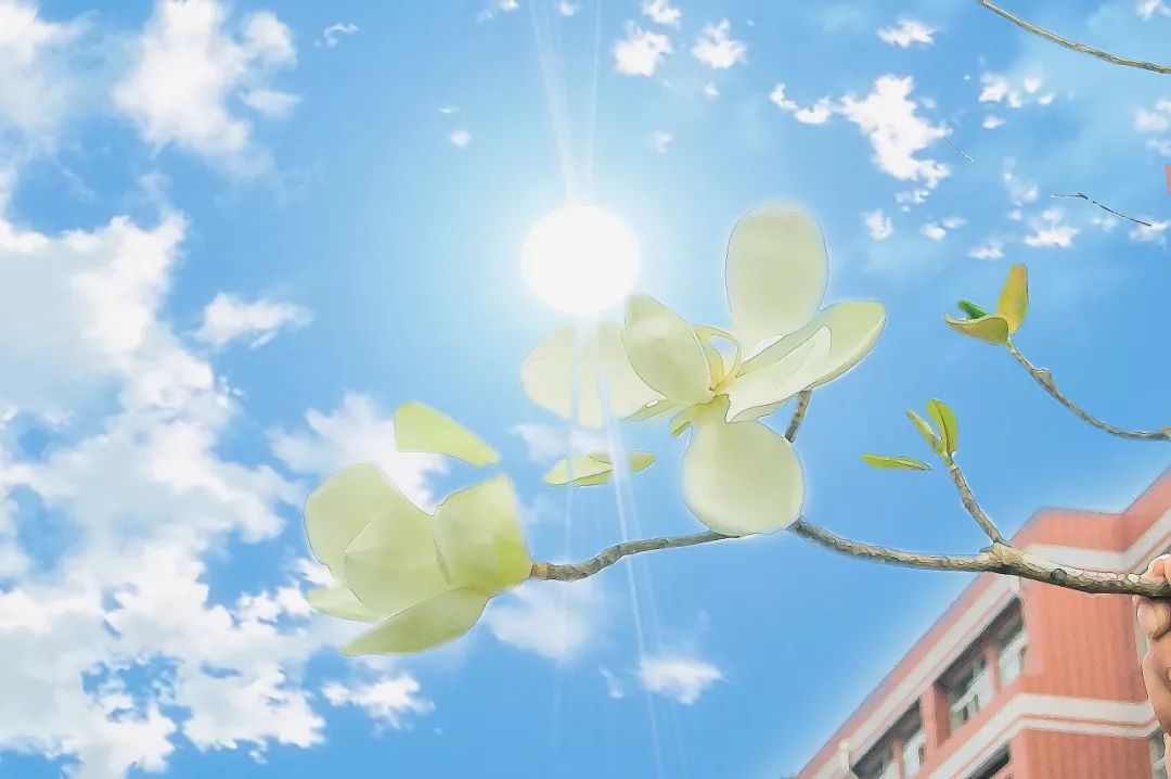 关爱孕妇睡眠,关爱孕妇政策