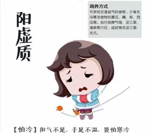 典型体质吃什么食物,对号入座吧看看你是什么体质