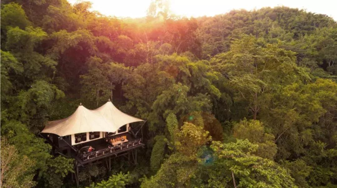 树屋侨城坊,侨城坊树屋样板间