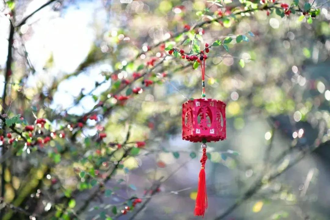 摄影作品精选展,每周摄影作品