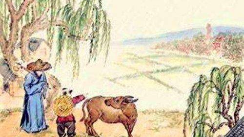 人贪四项一生白忙,人贪四项一生白忙指的是什么