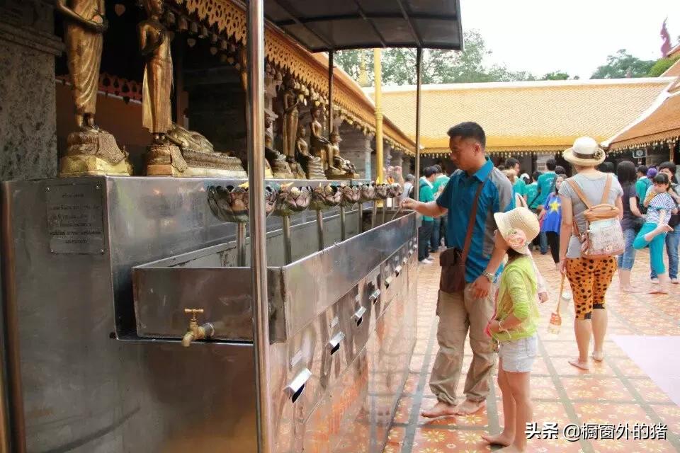 泰北玫瑰的英文,泰北玫瑰图片