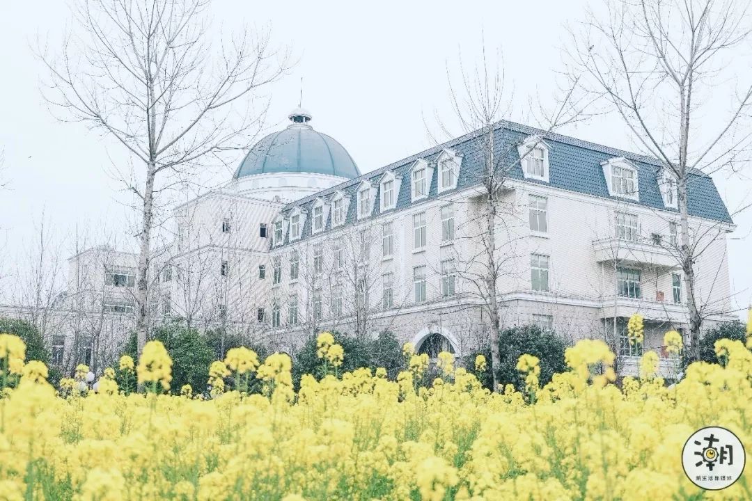 閿﹀煄鐨囧璐垫棌瀛﹂櫌,鎴愰兘閿﹀煄璐垫棌瀛﹂櫌