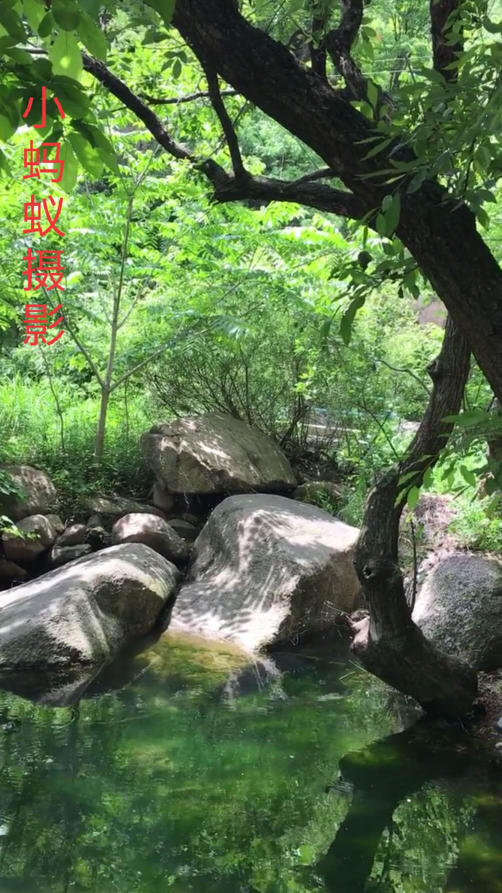 鲁山画眉谷郏县旅游景点推荐,平顶山鲁山风景区旅游攻略