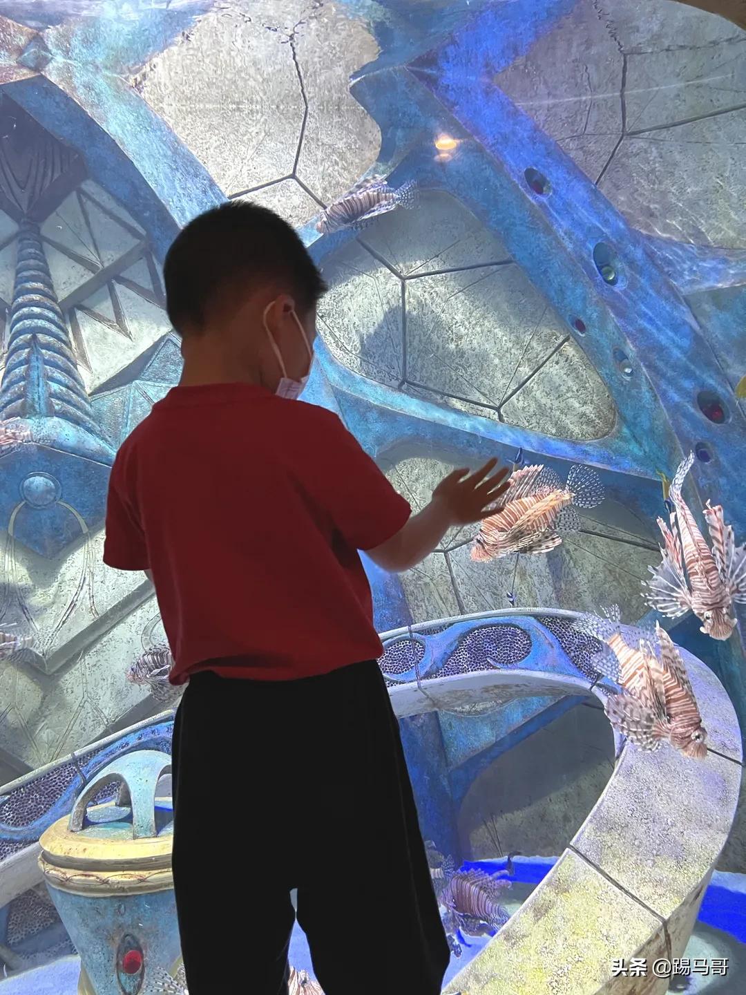 三亚避雷防坑攻略,三亚亲子游攻略亚特兰蒂斯