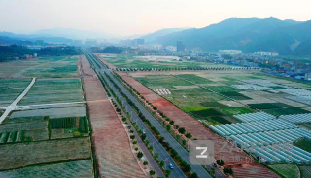 贵州榕江黑木耳丰收助农增收致富,贵州黔西林下养殖闯出致富路