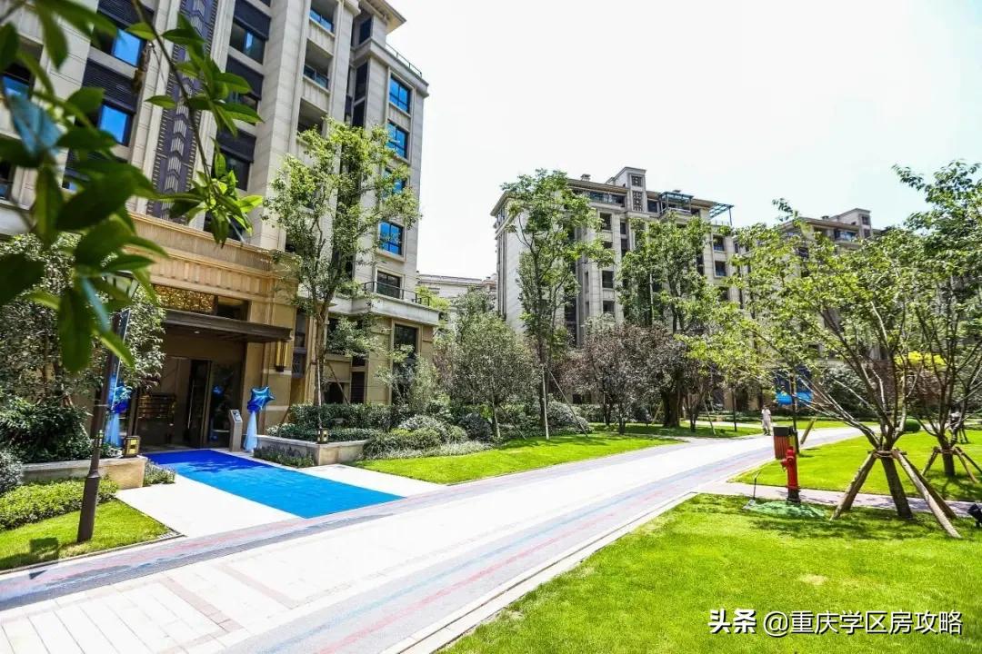 照母山的重点中学,照母山优质学区