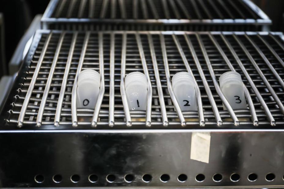 实验室|去除腐烂部分的果蔬还能吃吗?实在舍不得扔怎么办?