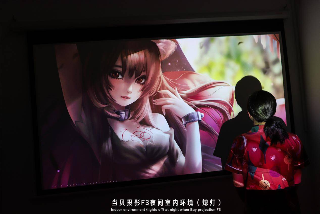 萌新扫盲贴：家用投影仪与商务投影仪的区别在那，别傻傻分不清