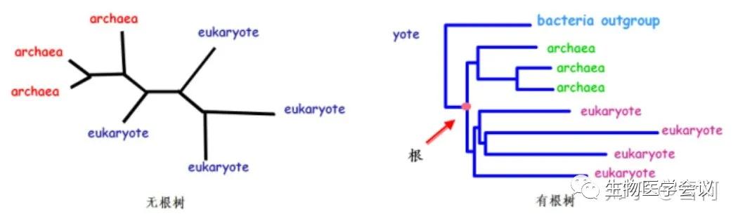 生物信息学入门的87个名词,一张表看懂生物信息学