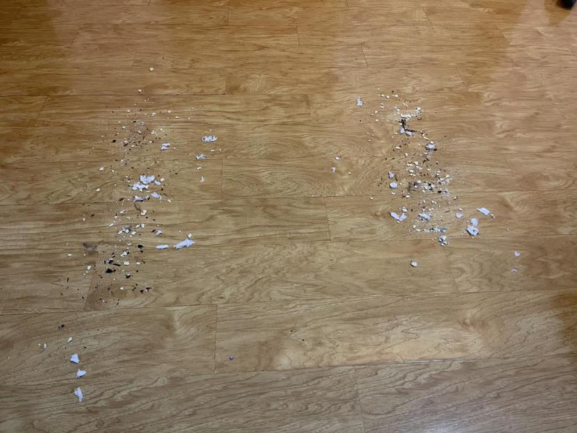 小狗吸尘器和戴森吸尘器对比,戴森吸尘器哪款性价比高10倍