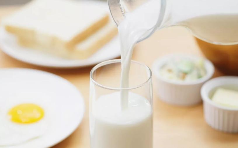 小狗尿出来黄绿色的,小狗吐黄绿色的水怎么办