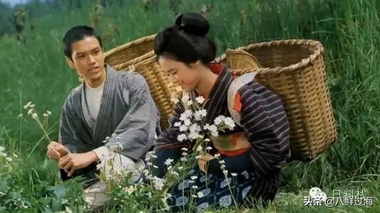 鲭鱼｜虽生犹死的那种境界……