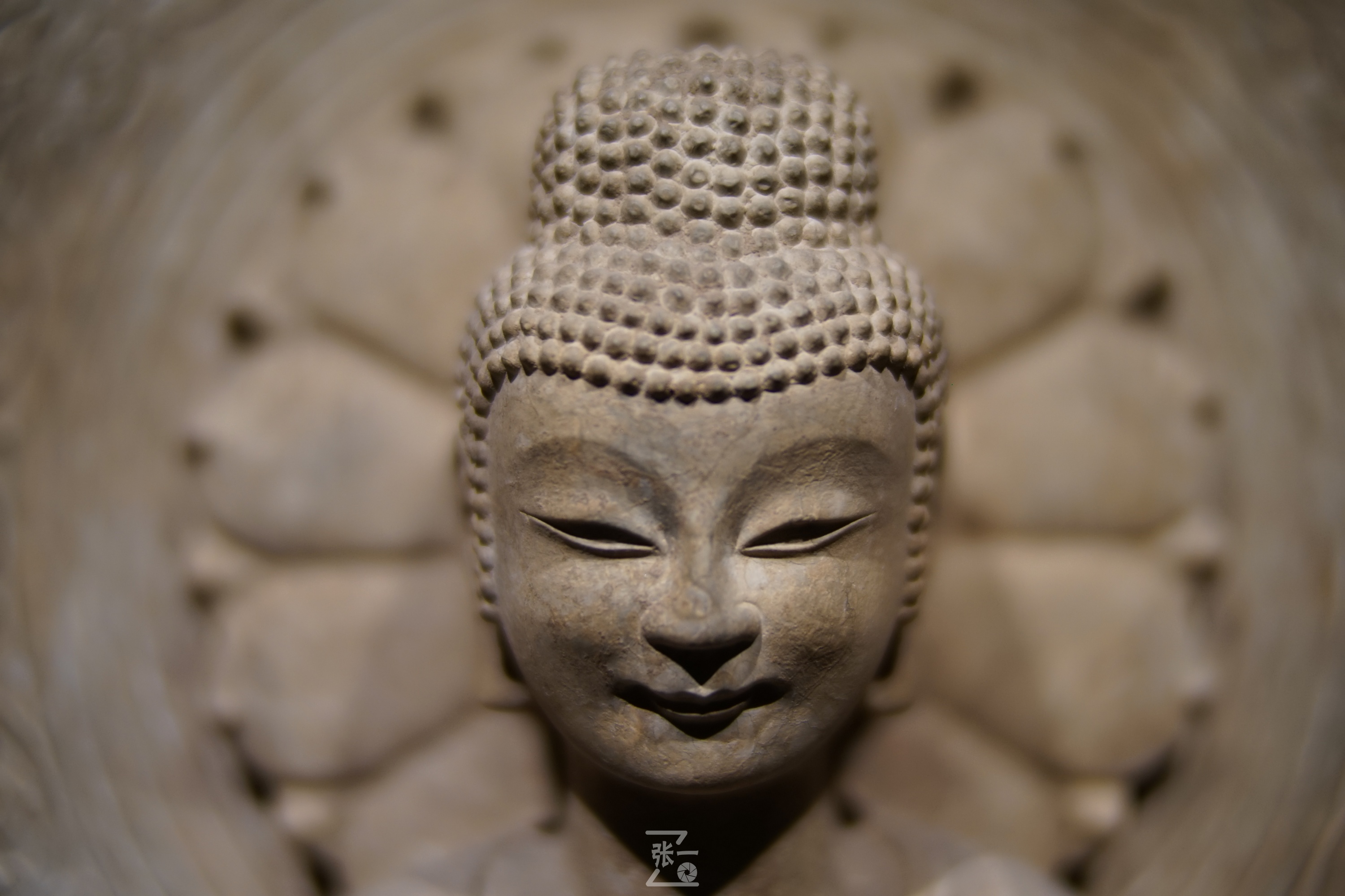 中国产微单,24-135镜头索尼