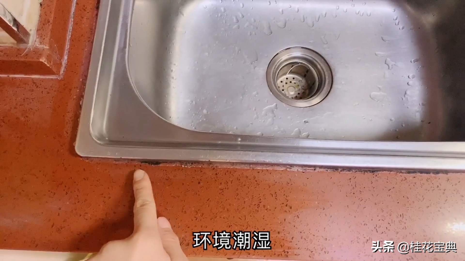 卫生间墙面霉菌,卫生间顶部都是霉菌