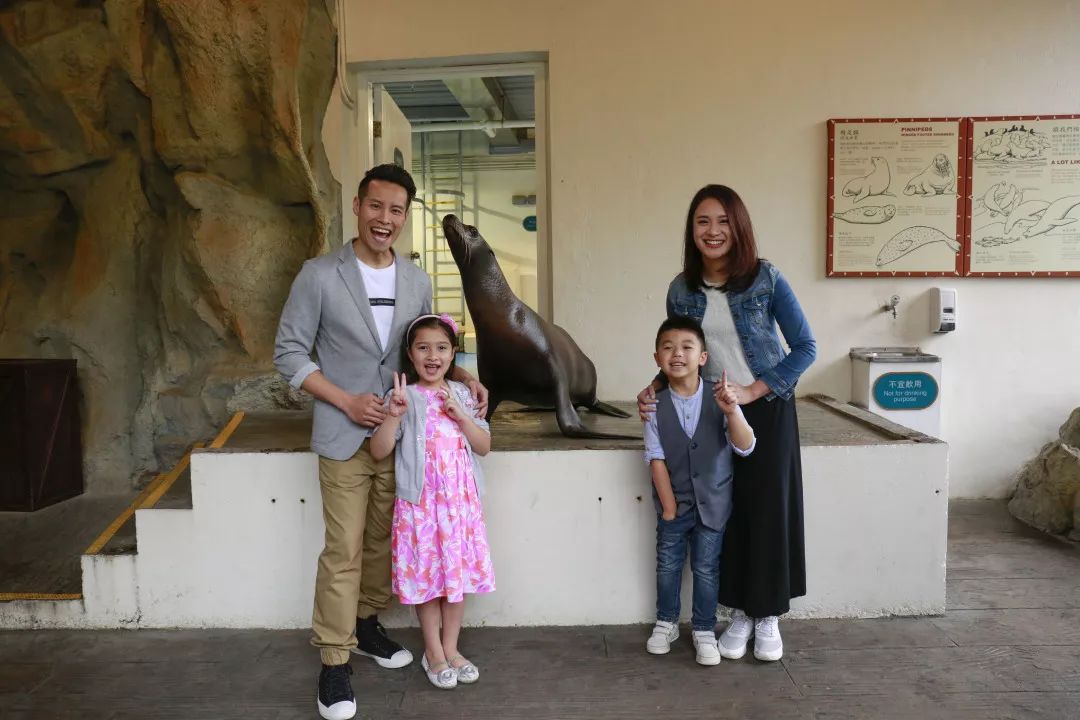 香港海洋公园门票多少钱,香港海洋公园门票票价