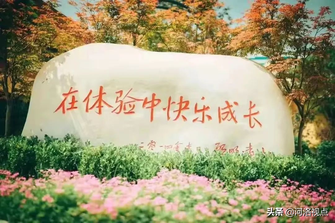 洛阳市第一实验小学校长李青青,洛阳市实验小学校长李青青简历