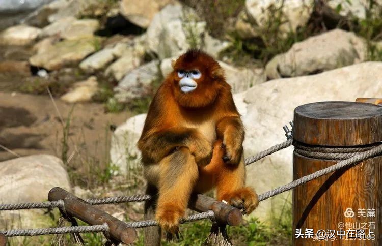 汉中户外遛娃好去处排行榜,汉中遛娃旅游景点有哪些
