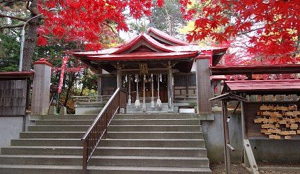 札幌地铁一日券合适吗,札幌地铁一日券