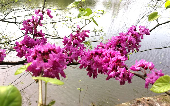 美丽的南湖公园夜景,南湖风景区真的太美了