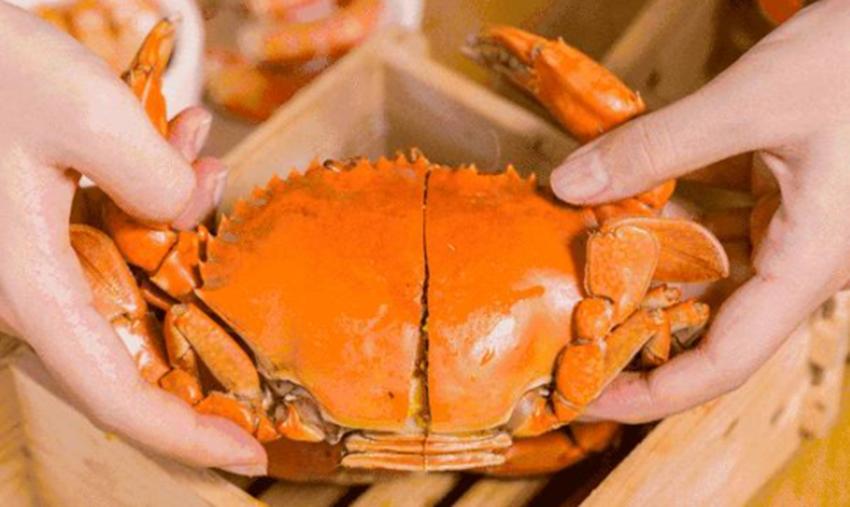 螃蟹看着这么恐怖为什么会有人吃,螃蟹的外观为什么也很可怕