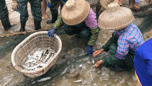吴阳海鲜直播,吴阳金海岸出海直播