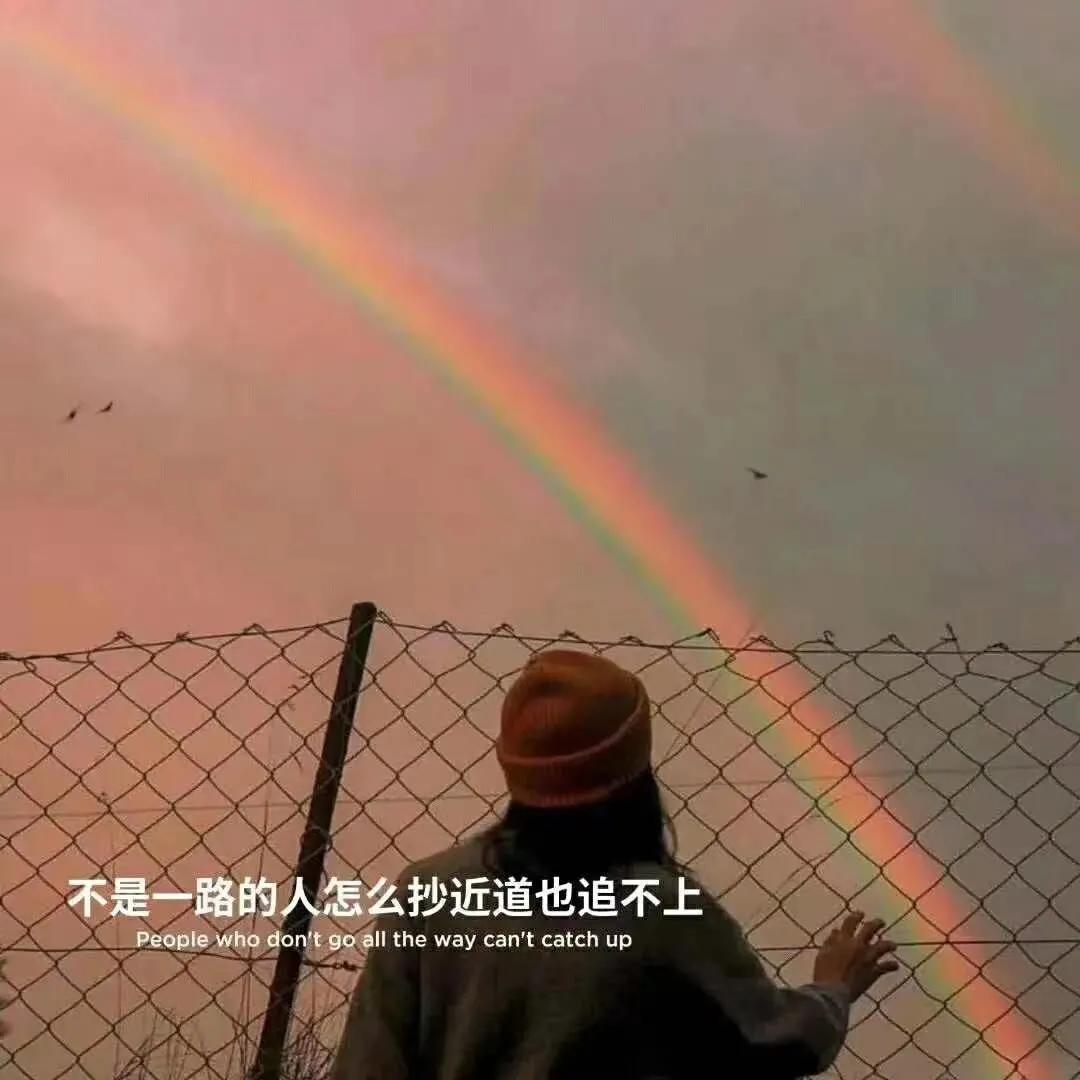 大自然治愈清新的背景图,文艺清新淡雅鲜花背景图