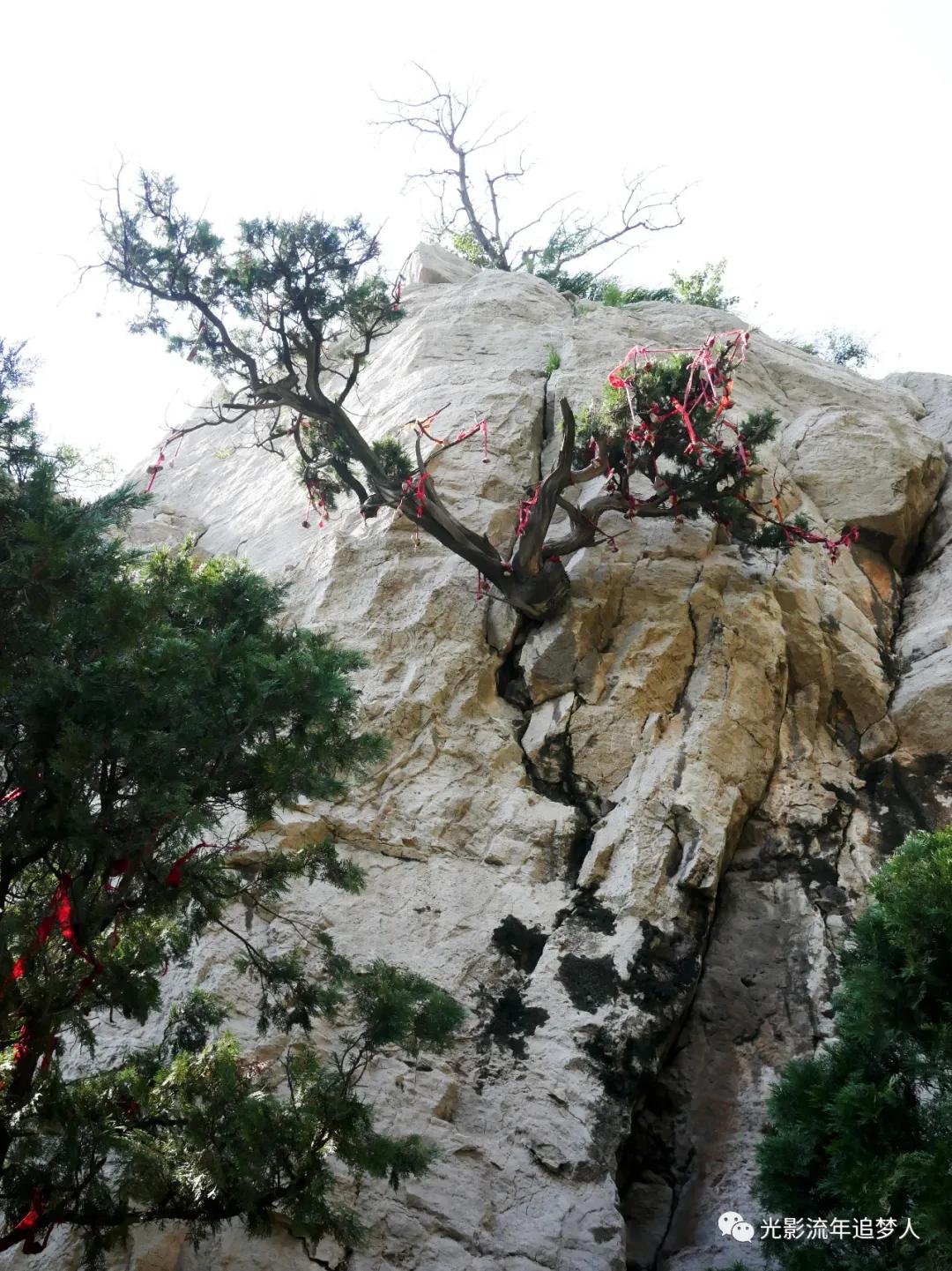 古寺灵岩寺,济南千年古寺灵岩寺