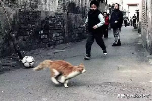 北京人会说普通话吗,装北京人说北京话