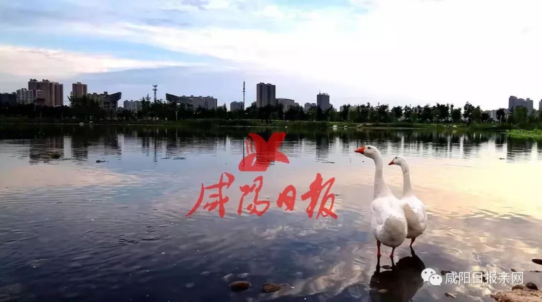 咸阳湖景区最新消息,咸阳拟新增4家3a级景区